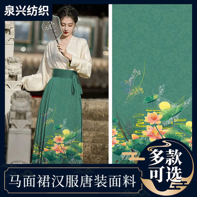 提花布料 尼龙面料汉服唐装古装马面裙民族布料